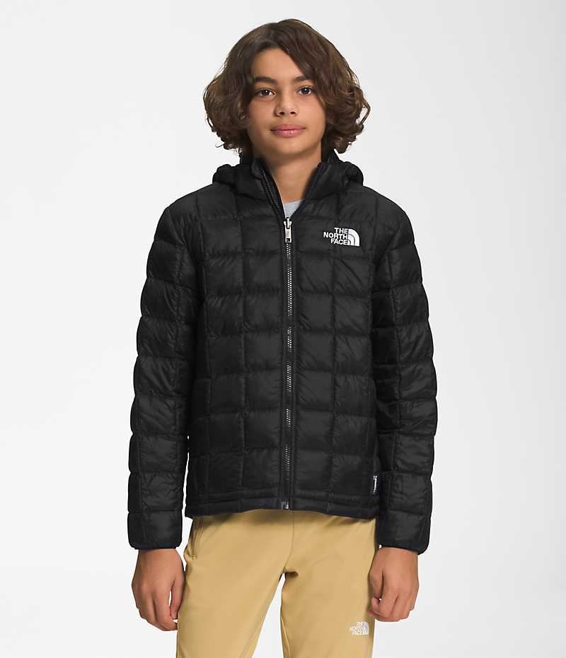 Boys\' The North Face ThermoBall™ Hooded Down Jacket Black | TORONTO MHDUSC