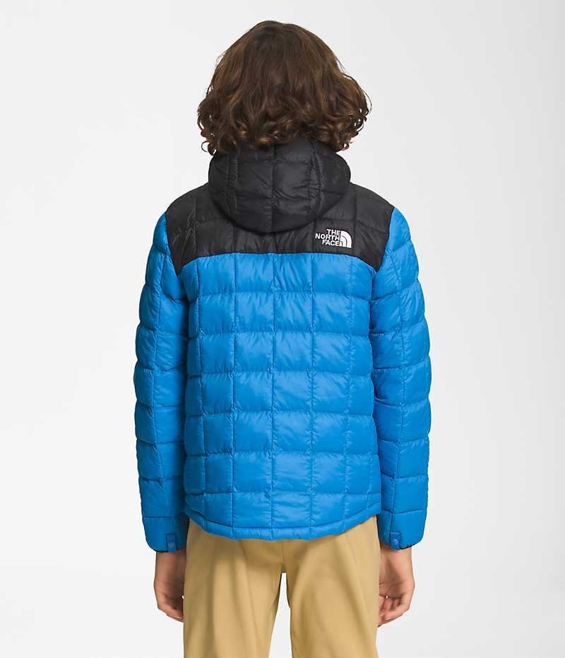 Boys' The North Face ThermoBall™ Hooded Down Jacket Blue | OTTAWA DXQILP