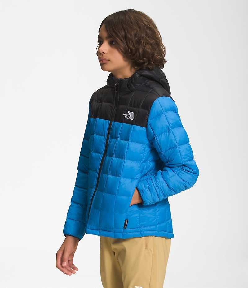 Boys' The North Face ThermoBall™ Hooded Down Jacket Blue | OTTAWA DXQILP