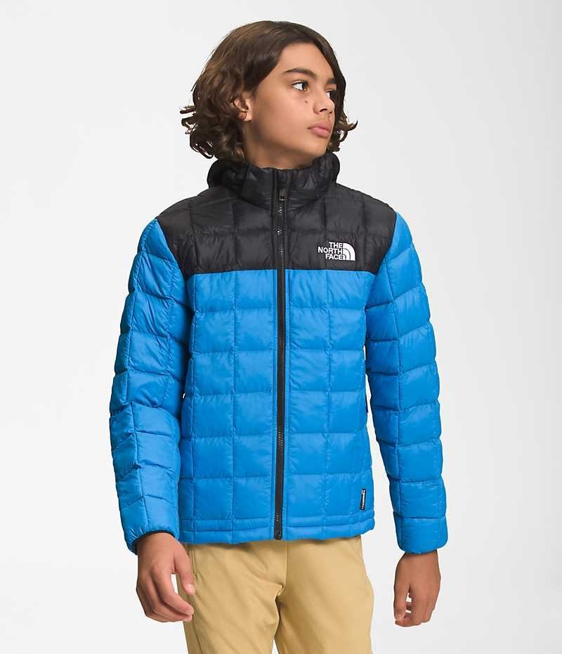 Boys\' The North Face ThermoBall™ Hooded Down Jacket Blue | OTTAWA DXQILP