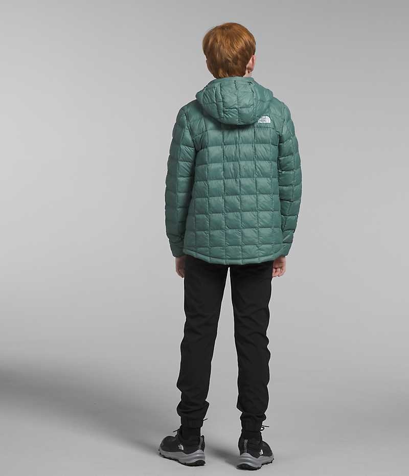 Boys' The North Face ThermoBall™ Hooded Down Jacket Green | CANADA GNSHBJ