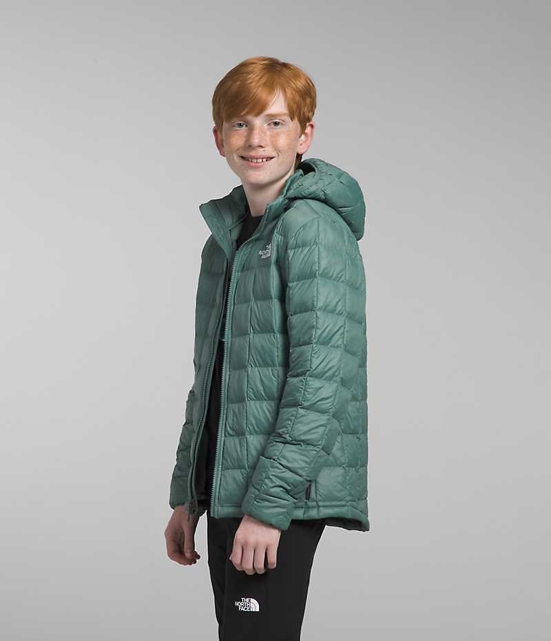 Boys' The North Face ThermoBall™ Hooded Down Jacket Green | CANADA GNSHBJ