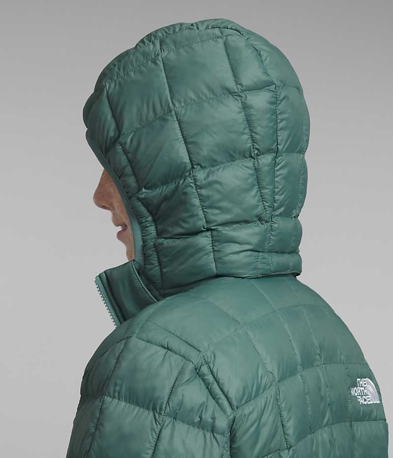 Boys' The North Face ThermoBall™ Hooded Down Jacket Green | CANADA GNSHBJ