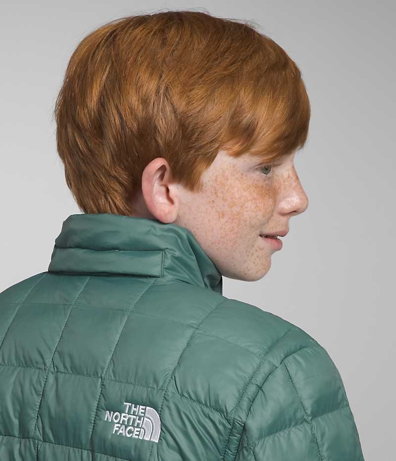 Boys' The North Face ThermoBall™ Hooded Down Jacket Green | CANADA GNSHBJ