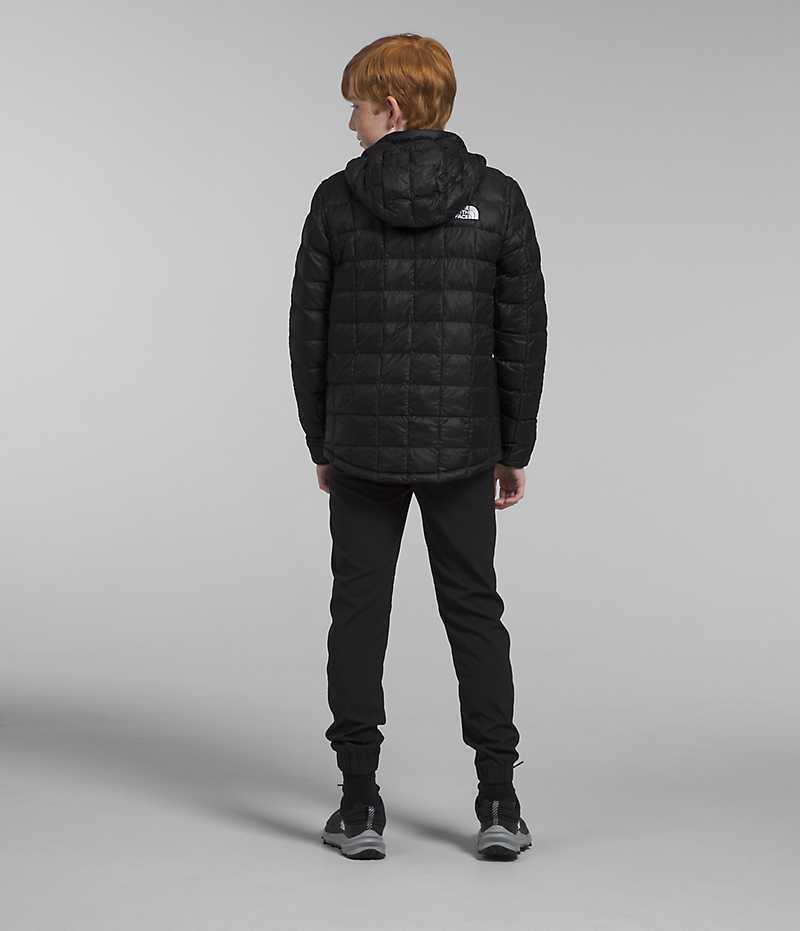 Boys' The North Face ThermoBall™ Hooded Down Jacket Black | TORONTO QXBLHD