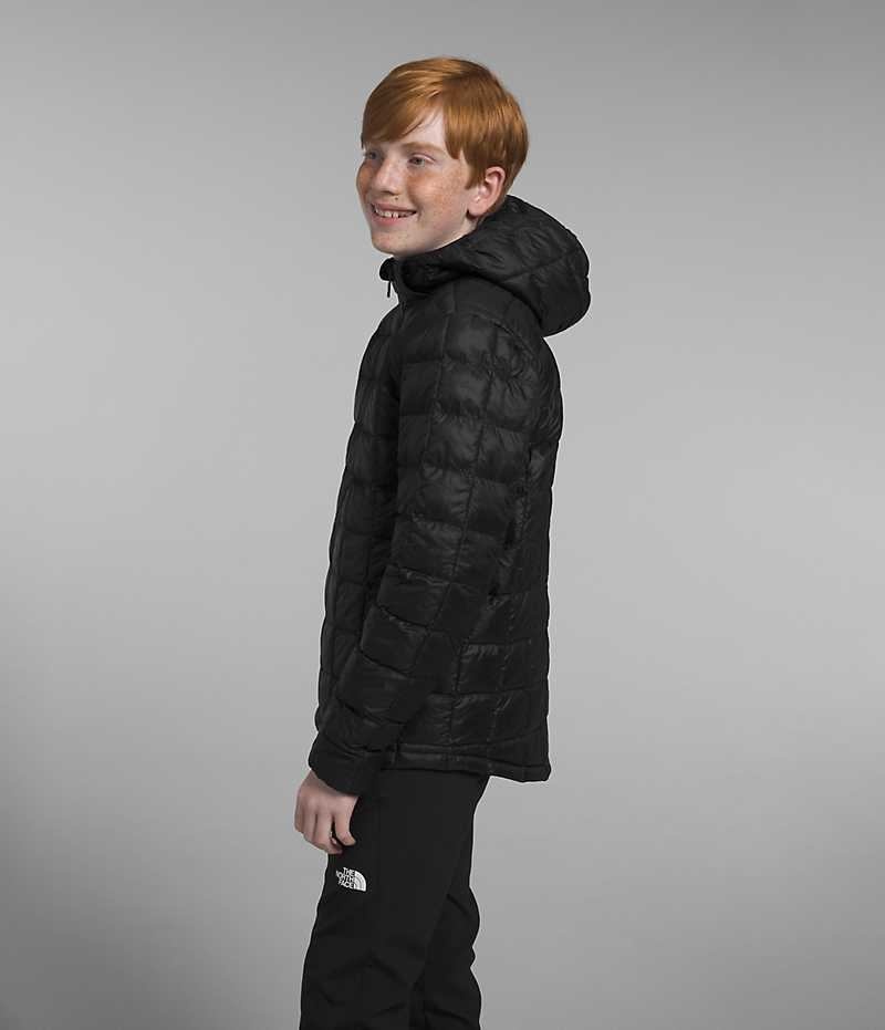 Boys' The North Face ThermoBall™ Hooded Down Jacket Black | TORONTO QXBLHD