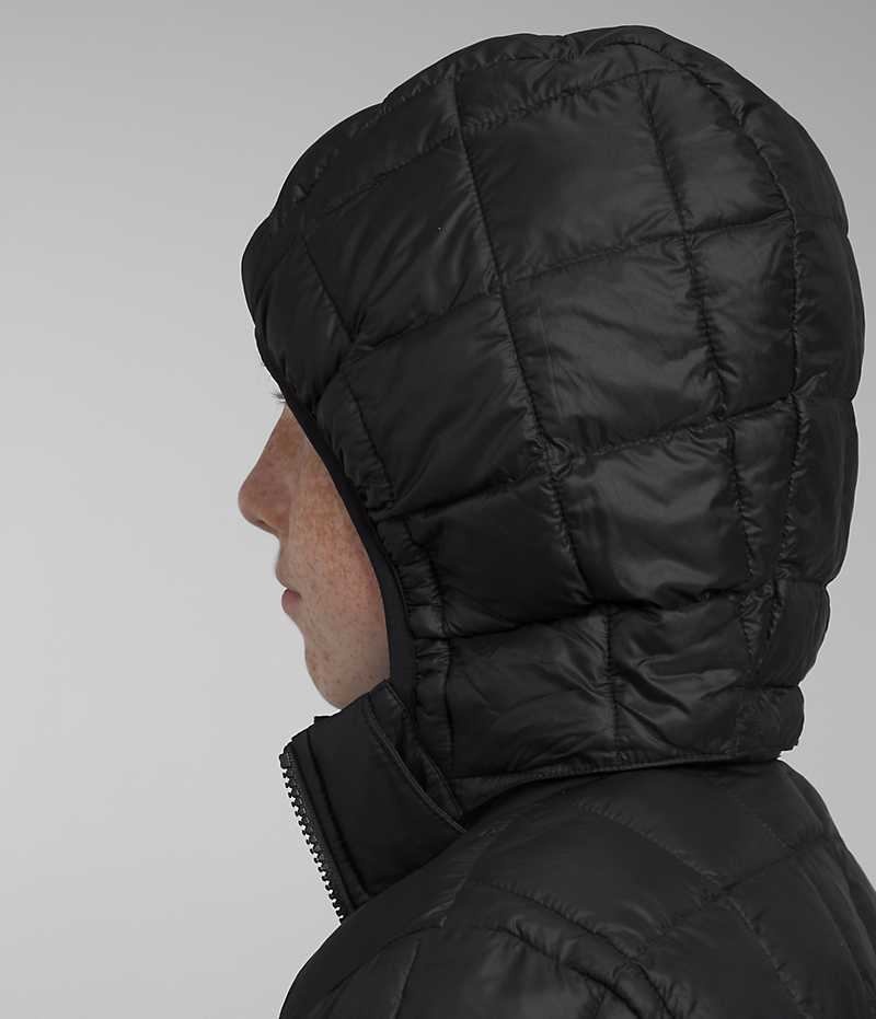 Boys' The North Face ThermoBall™ Hooded Down Jacket Black | TORONTO QXBLHD