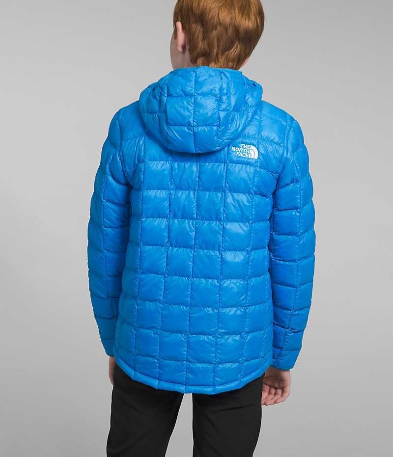 Boys' The North Face ThermoBall™ Hooded Down Jacket Blue | OTTAWA HWIRQS