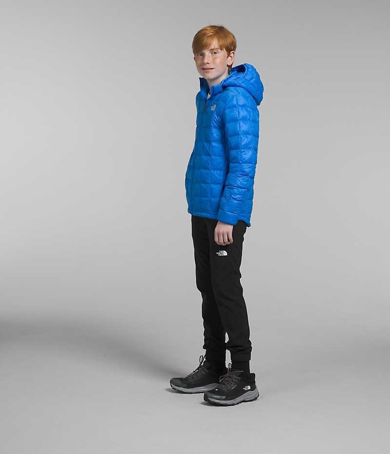 Boys' The North Face ThermoBall™ Hooded Down Jacket Blue | OTTAWA HWIRQS