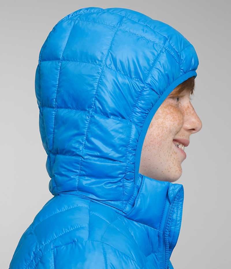 Boys' The North Face ThermoBall™ Hooded Down Jacket Blue | OTTAWA HWIRQS