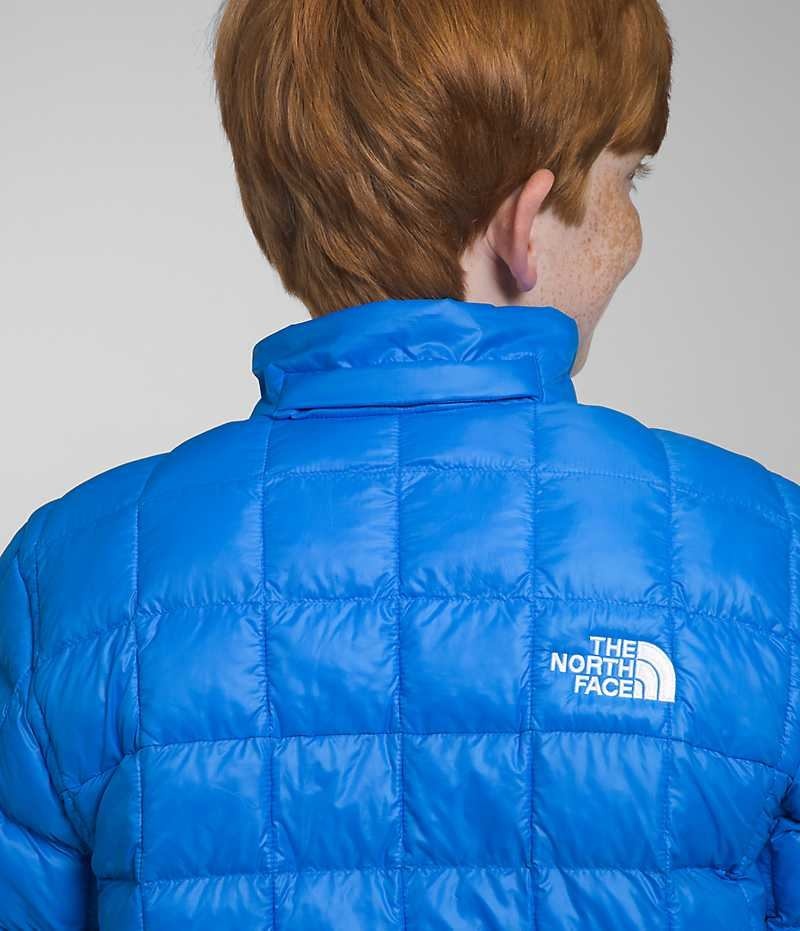 Boys' The North Face ThermoBall™ Hooded Down Jacket Blue | OTTAWA HWIRQS