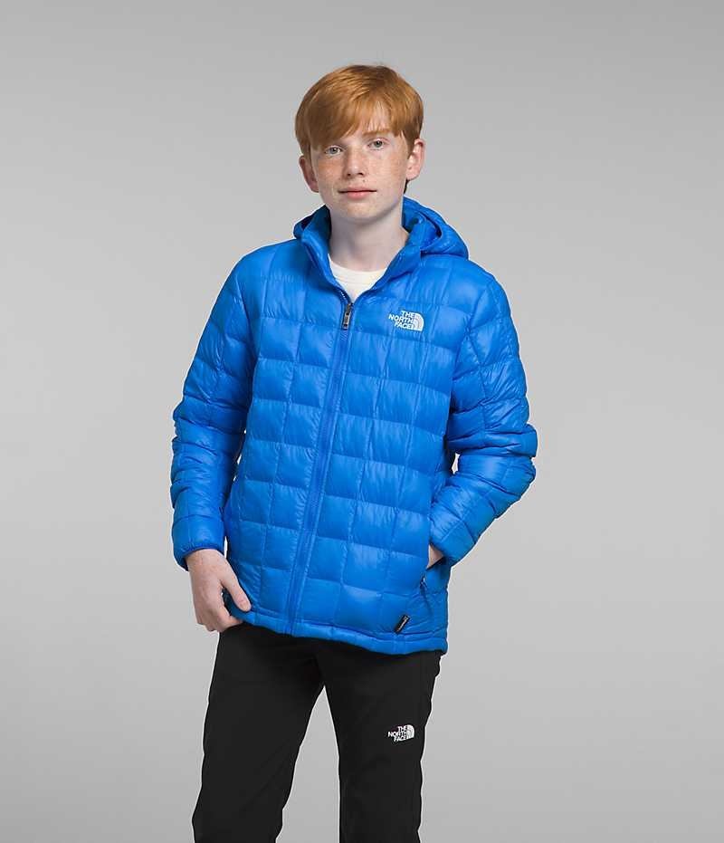 Boys\' The North Face ThermoBall™ Hooded Down Jacket Blue | OTTAWA HWIRQS