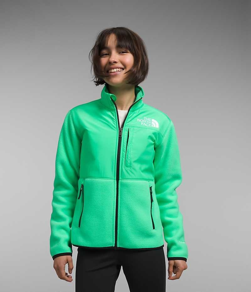 Girls\' The North Face Denali Fleece Jacket Green | OTTAWA TWCBXA