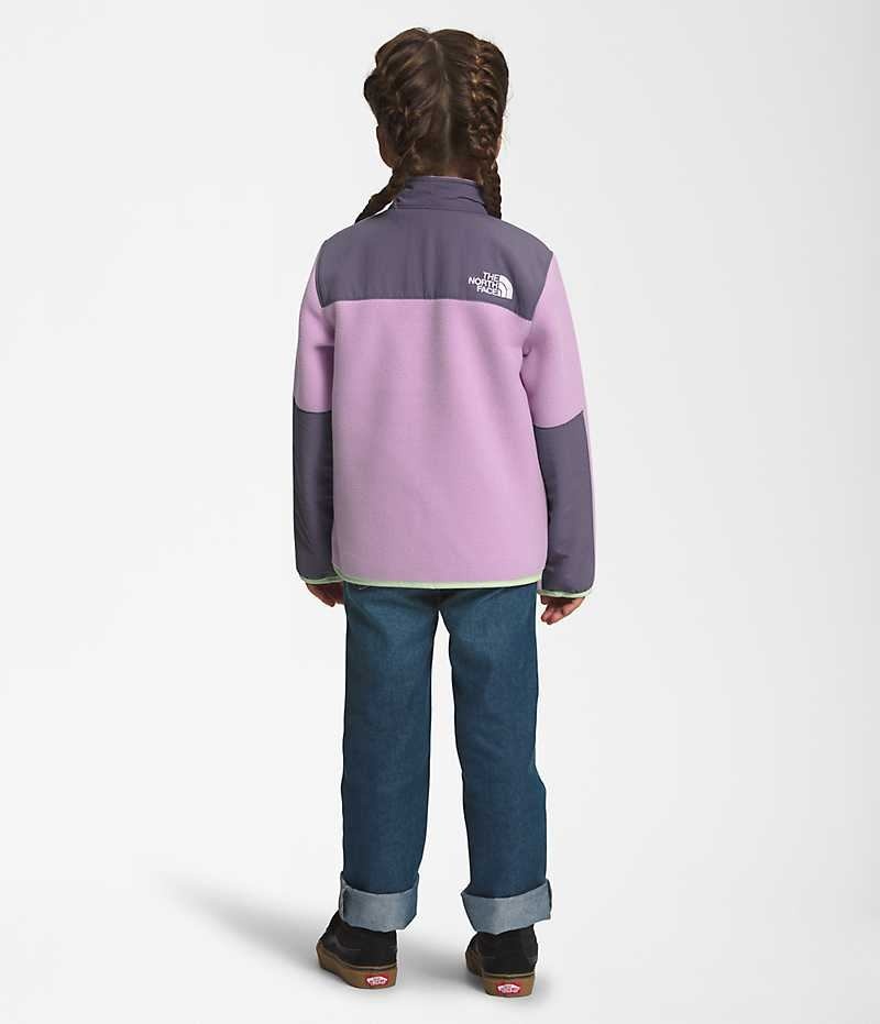 Girls' The North Face Denali Fleece Jacket Lavender | OTTAWA XVPDIZ