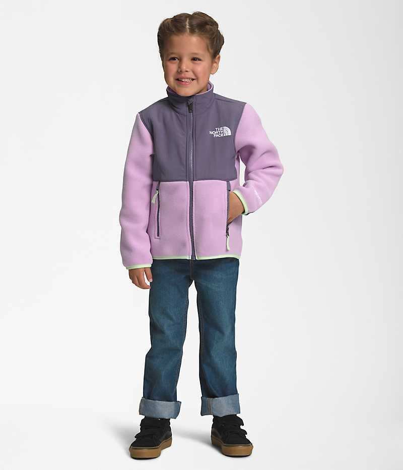 Girls\' The North Face Denali Fleece Jacket Lavender | OTTAWA XVPDIZ