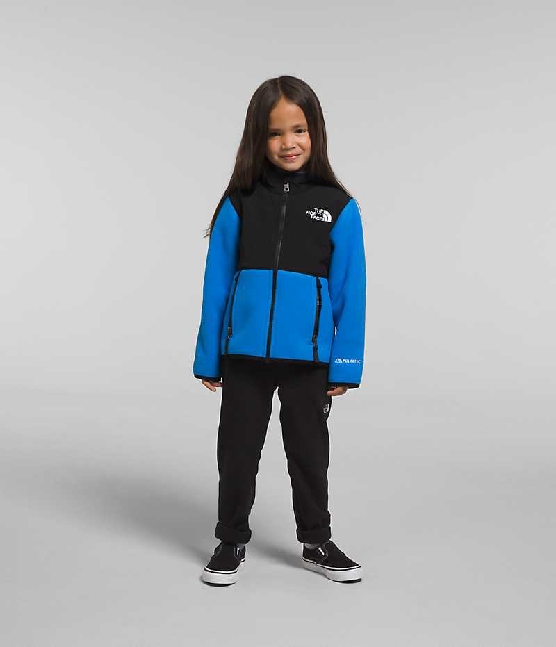 Girls\' The North Face Denali Fleece Jacket Blue | CANADA TXCKOM