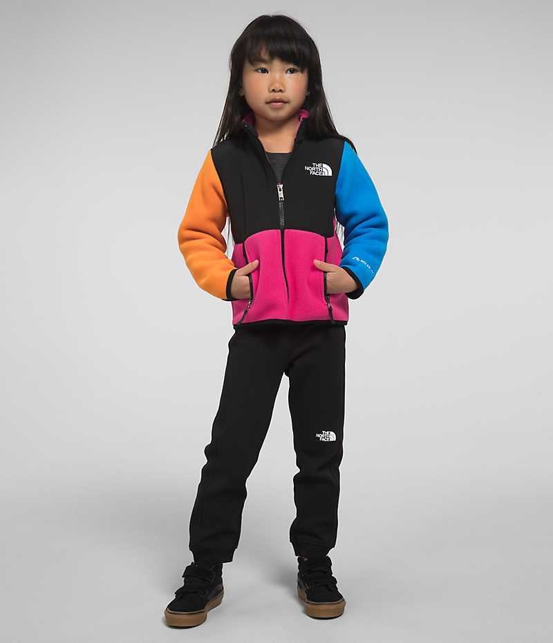 Girls\' The North Face Denali Fleece Jacket Multicolor | TORONTO PSFEGR