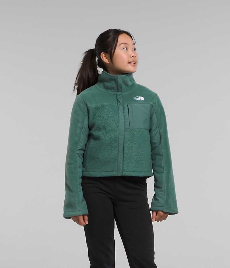 Girls\' The North Face Fleece Mashup Fleece Jacket Green | CANADA QMGAHR