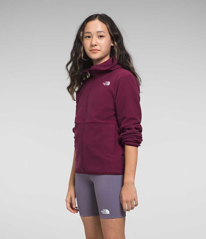 Girls' The North Face Glacier Full-Zip Hooded Fleece Jacket Red | TORONTO CEWVYN