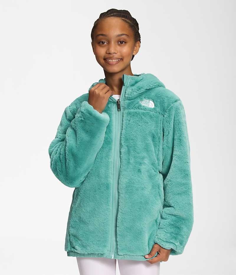 Girls' The North Face Reversible Mossbud Parka Turquoise | OTTAWA CKLMIS