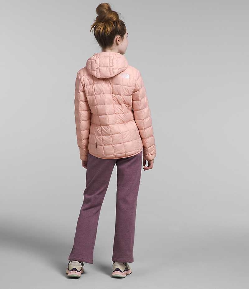 Girls' The North Face ThermoBall™ Hooded Down Jacket Pink | OTTAWA AYRBLG