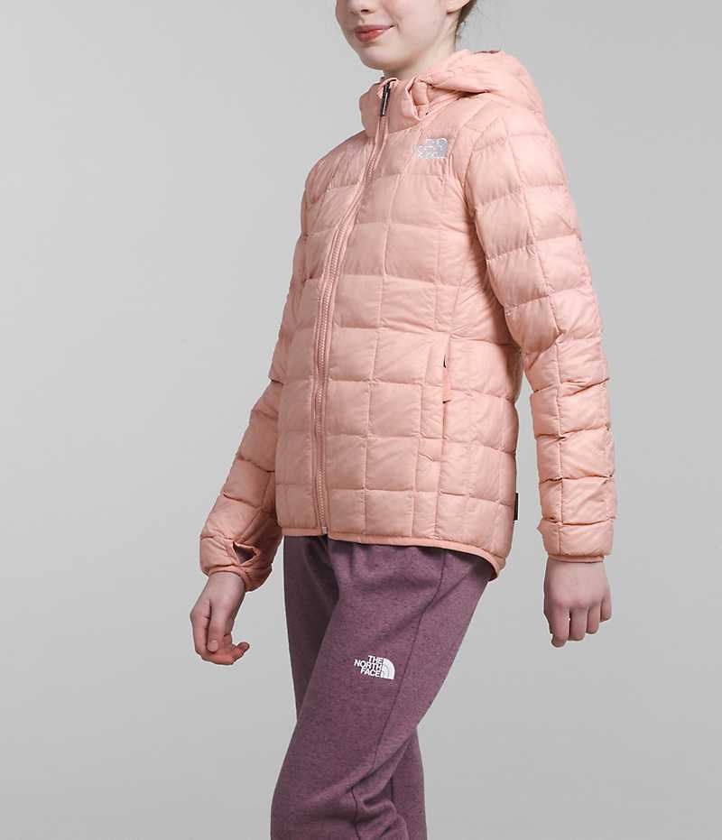 Girls' The North Face ThermoBall™ Hooded Down Jacket Pink | OTTAWA AYRBLG