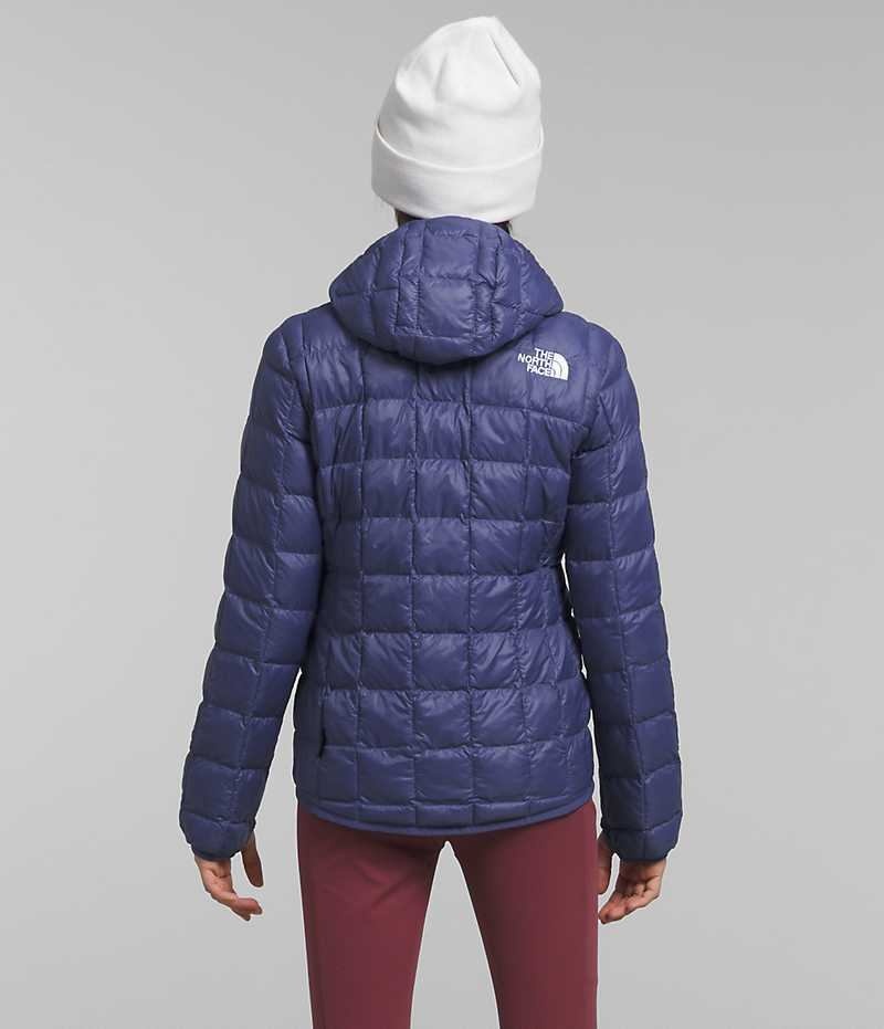 Girls' The North Face ThermoBall™ Hooded Down Jacket Blue | TORONTO WEMJFL