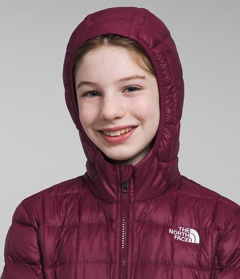 Girls' The North Face ThermoBall™ Parka Burgundy | CANADA IFJVXP