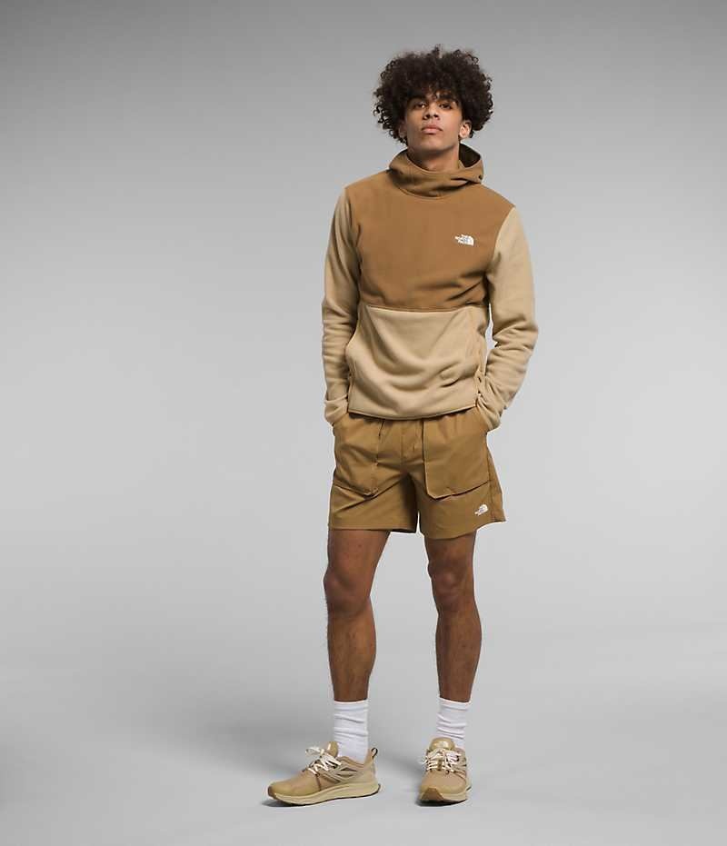 Men's The North Face Alpine Polartec® 100 Pullover Khaki / Brown | TORONTO AJSQLG