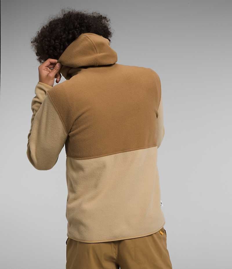 Men's The North Face Alpine Polartec® 100 Pullover Khaki / Brown | TORONTO AJSQLG