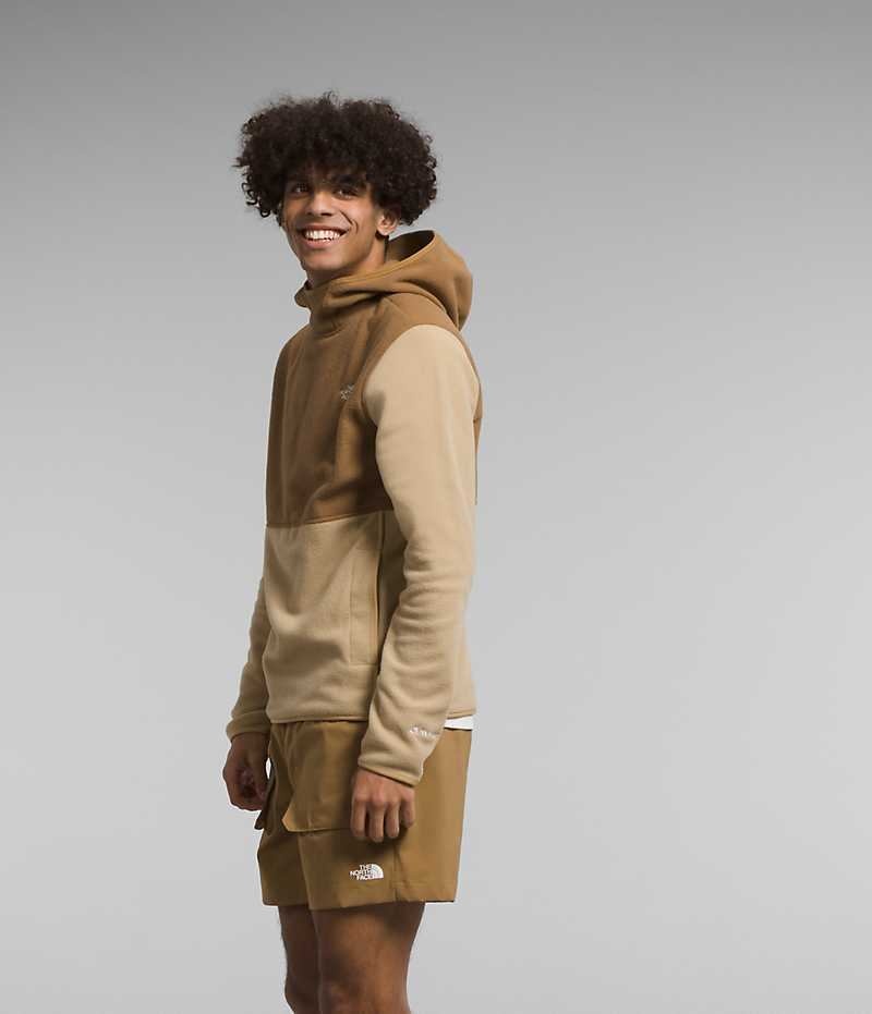 Men's The North Face Alpine Polartec® 100 Pullover Khaki / Brown | TORONTO AJSQLG