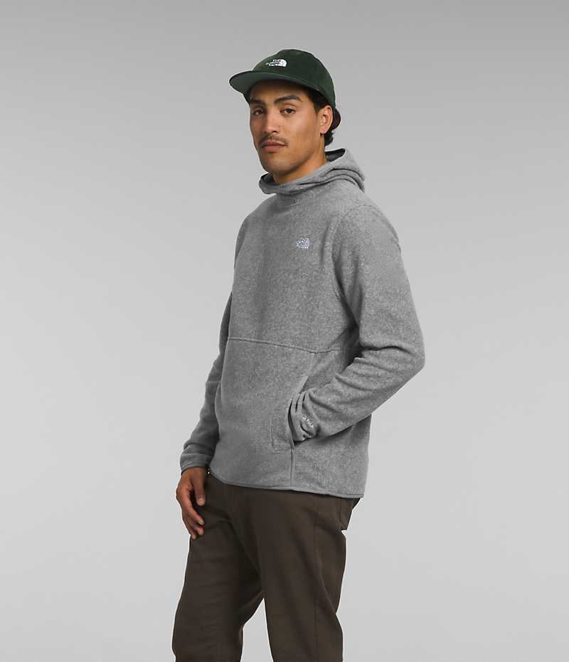 Men's The North Face Alpine Polartec® 100 Pullover Grey | CANADA IDLZXH