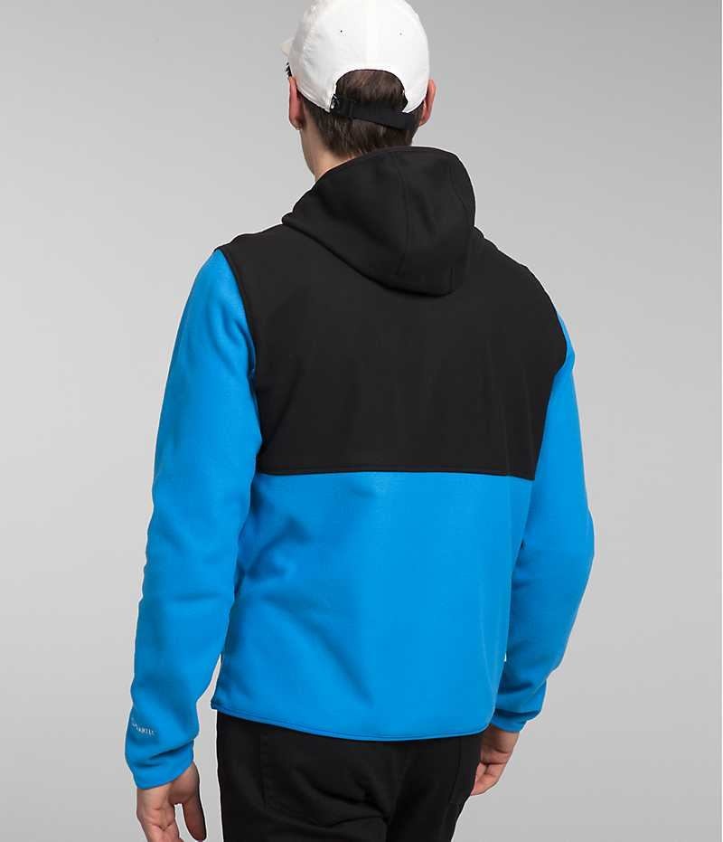 Men's The North Face Alpine Polartec® 100 Pullover Blue / Black | TORONTO HXGYPJ