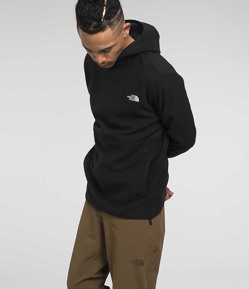 Men's The North Face Alpine Polartec® 100 Pullover Black | OTTAWA EAHIZJ