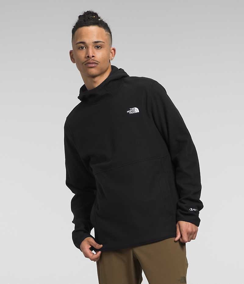 Men\'s The North Face Alpine Polartec® 100 Pullover Black | OTTAWA EAHIZJ