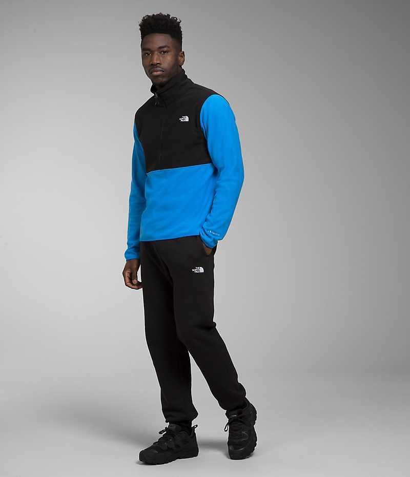 Men's The North Face Alpine Polartec® 100 ½-Zip Pullover Blue / Black | TORONTO XIEQML