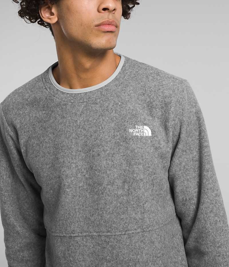 Men's The North Face Alpine Polartec® 100 Crew Pullover Grey | OTTAWA HMNPES