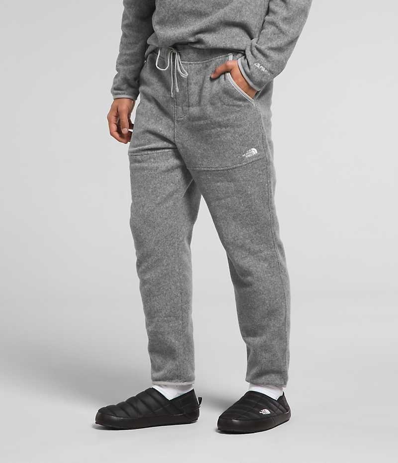 Men's The North Face Alpine Polartec® 100 Fleece Pants Grey | TORONTO HFTRJM