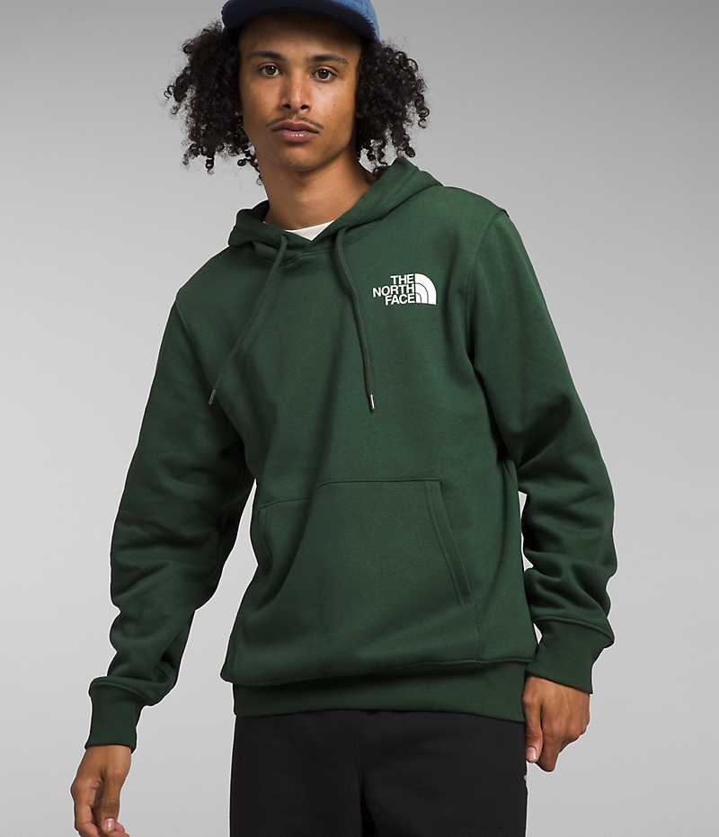 Men\'s The North Face Box NSE Pullover Hoodie Green | TORONTO ERHZCX