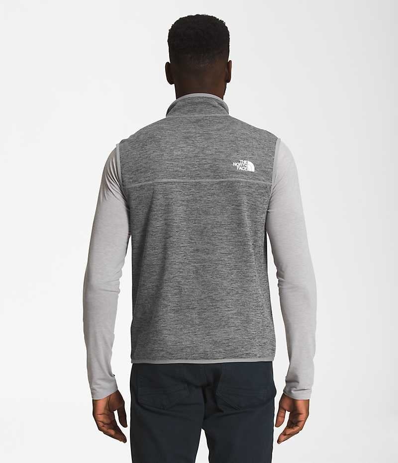 Men's The North Face Canyonlands Vest Grey | OTTAWA DJSPFY