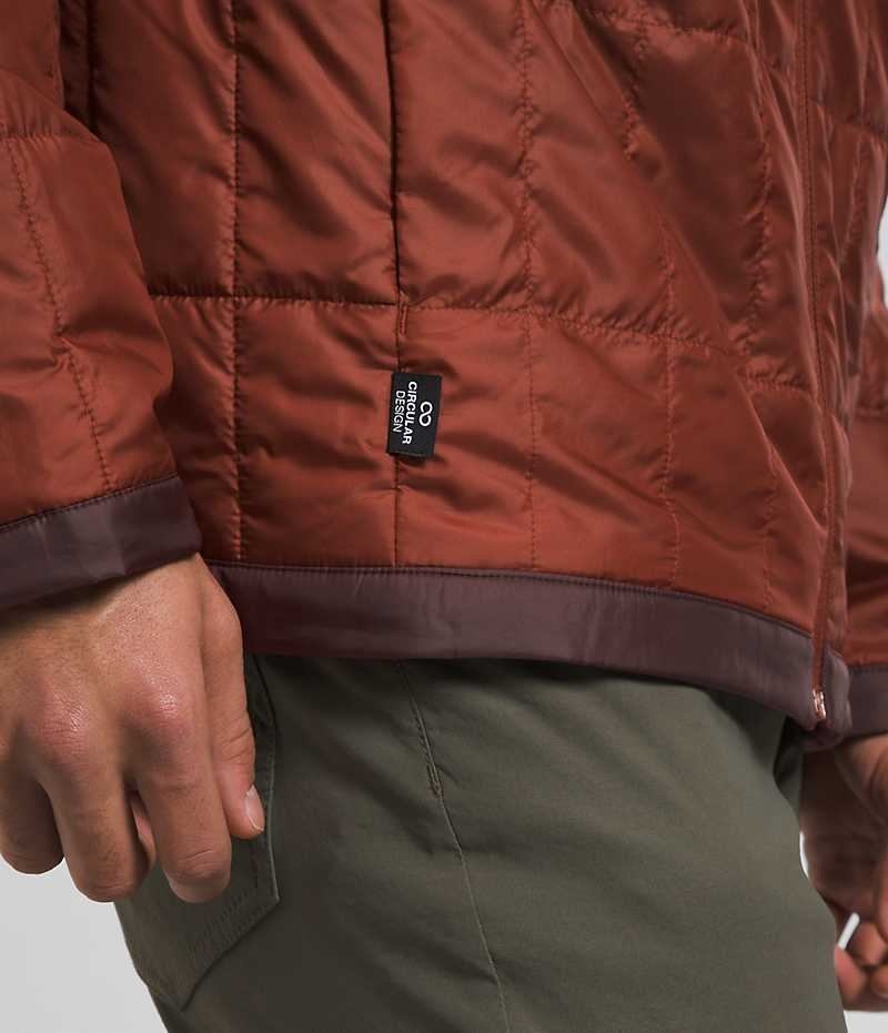 Men's The North Face Circaloft Down Jacket Brown | OTTAWA UIMPFA