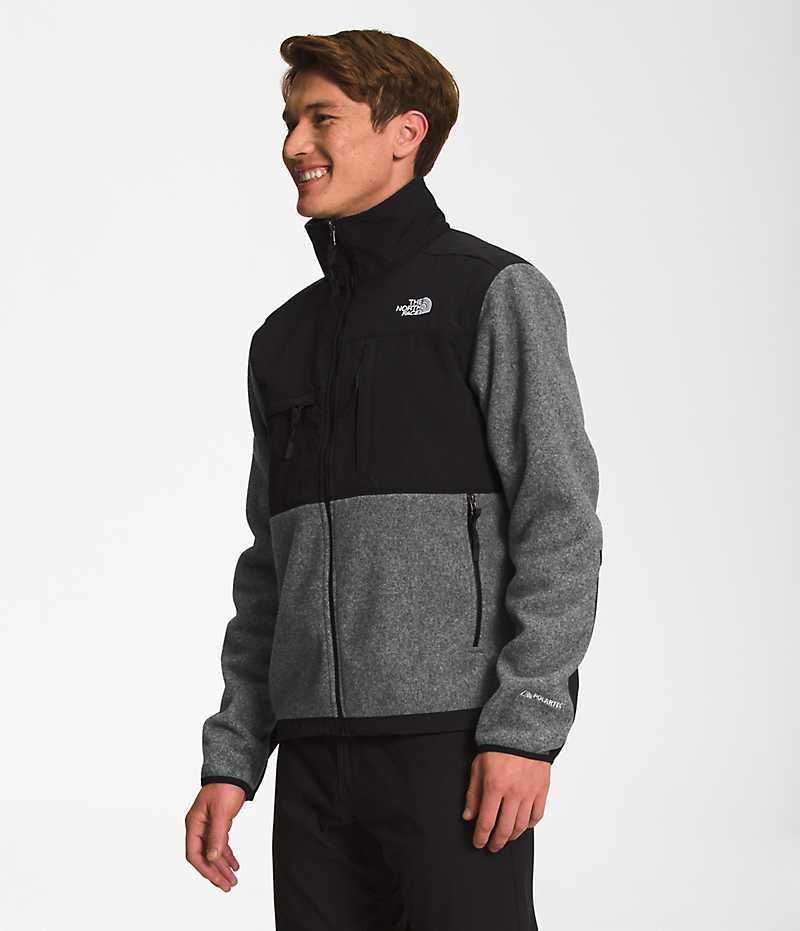 Men's The North Face Denali Fleece Jacket Grey | CANADA VEZXIW