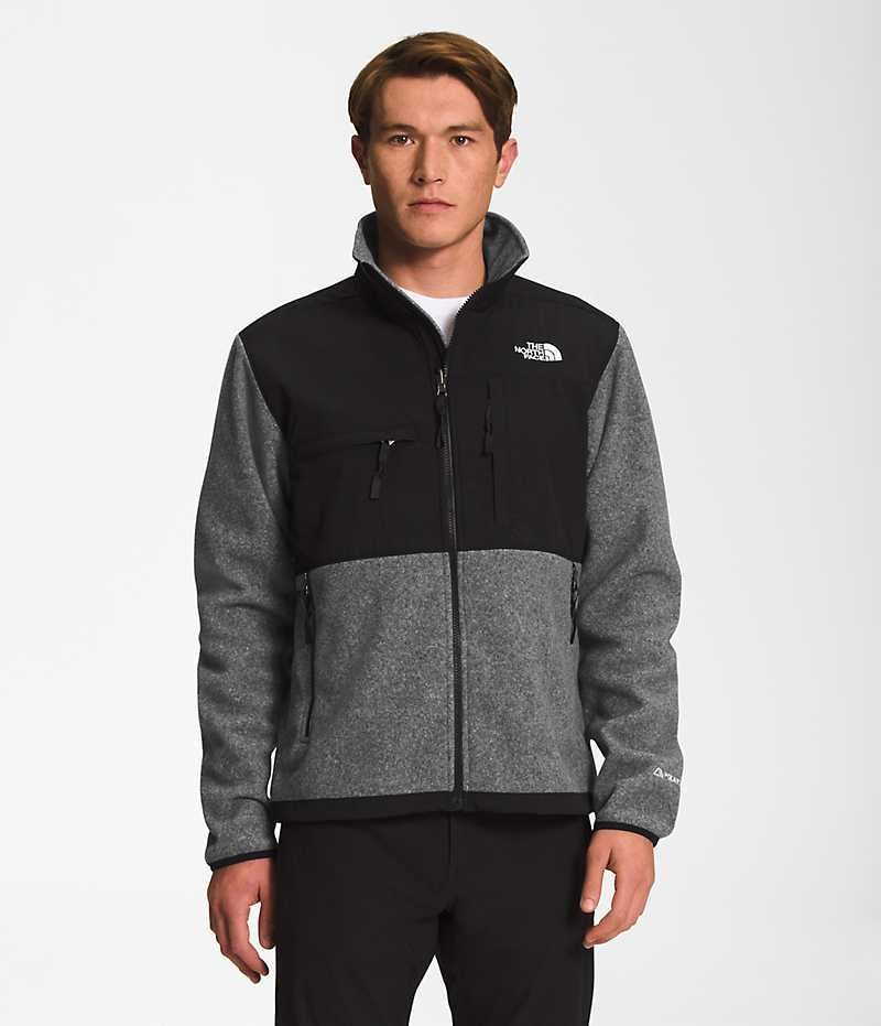 Men\'s The North Face Denali Fleece Jacket Grey | CANADA VEZXIW