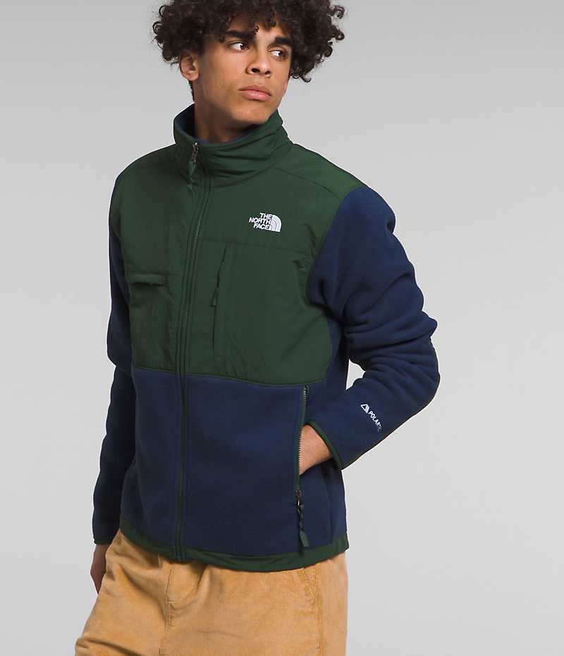 Men's The North Face Denali Fleece Jacket Navy / Green | OTTAWA SPVJWR