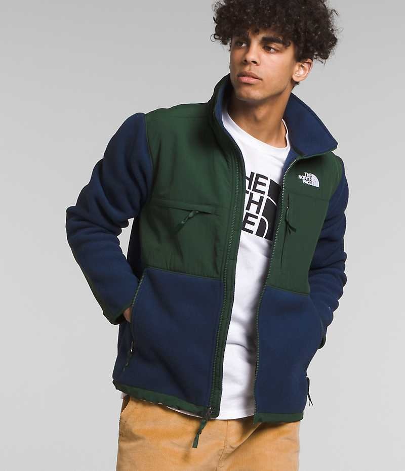 Men\'s The North Face Denali Fleece Jacket Navy / Green | OTTAWA SPVJWR