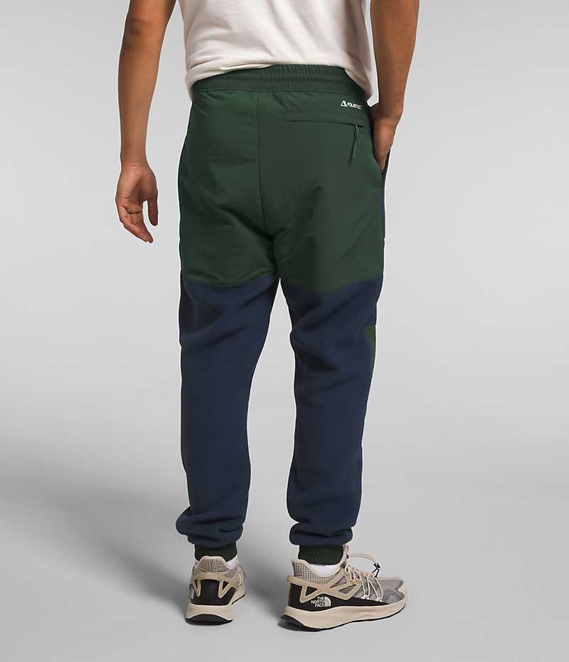 Men's The North Face Denali Fleece Pants Navy / Green | CANADA STZBPV