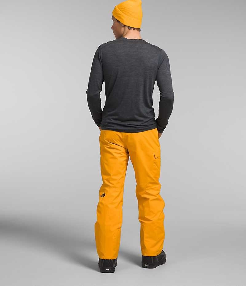 Men's The North Face Freedom Pants Gold | CANADA NLEVMJ