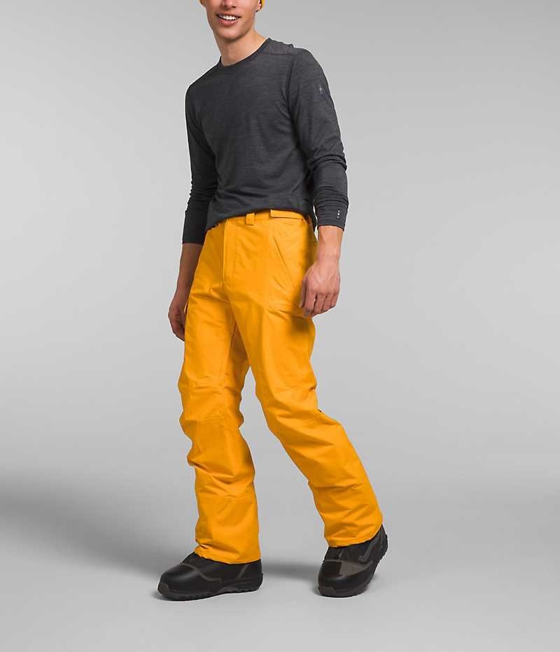 Men's The North Face Freedom Pants Gold | CANADA NLEVMJ