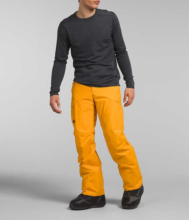 Men\'s The North Face Freedom Pants Gold | CANADA NLEVMJ