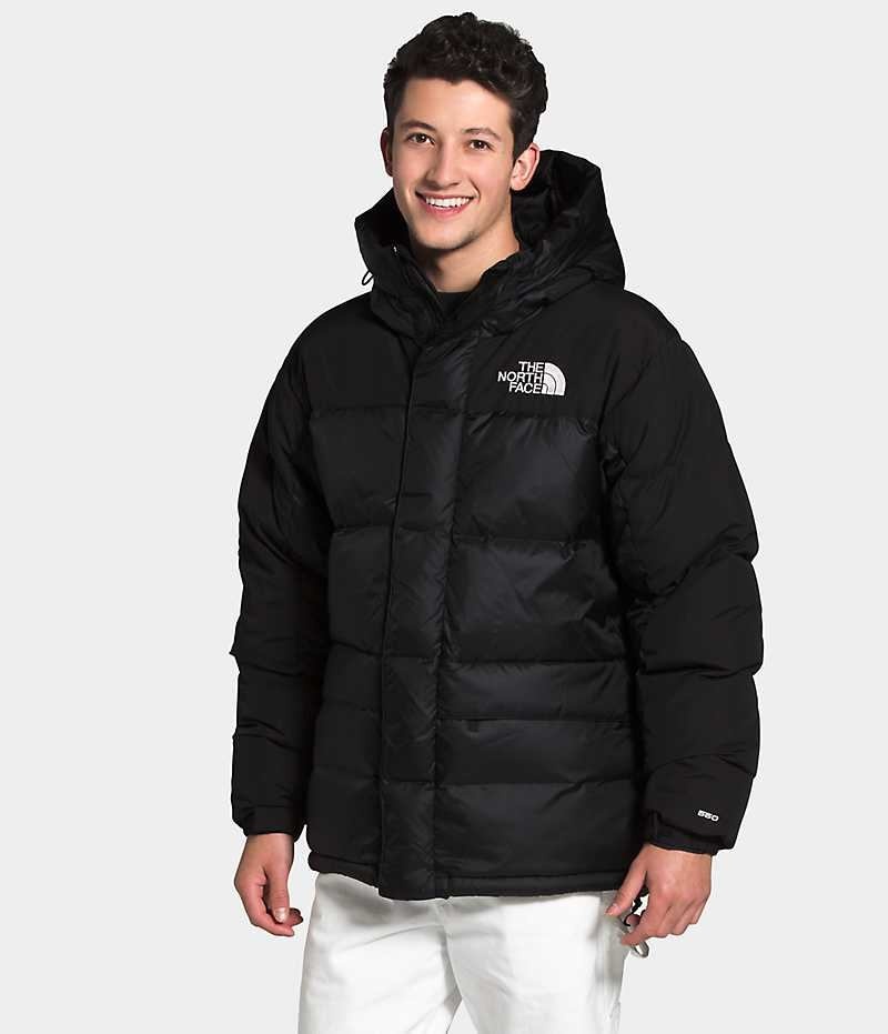 Men\'s The North Face HMLYN Down Parka Black | CANADA HJNXRB